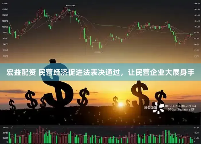 宏益配资 民营经济促进法表决通过，让民营企业大展身手