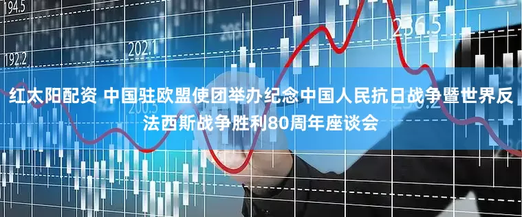 红太阳配资 中国驻欧盟使团举办纪念中国人民抗日战争暨世界反法西斯战争胜利80周年座谈会